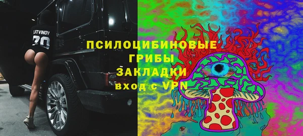 ПСИЛОЦИБИНОВЫЕ ГРИБЫ Майский