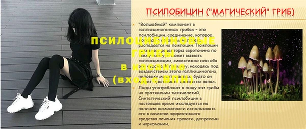прущие крисы Магас