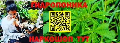 стаф Абакан