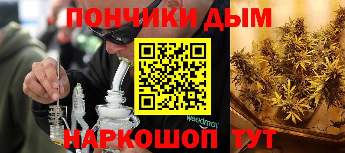 Конопля план Ярославль